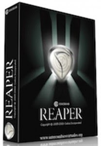 Reaper crack for mac